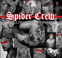 Spider Crew : Still Crazy But Not Insane